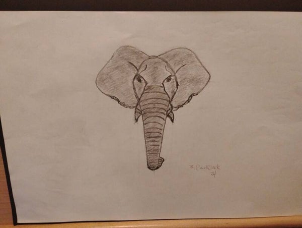 elephant head sketch
