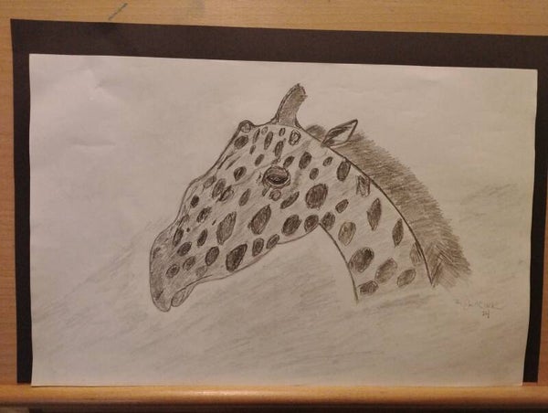 giraffe sketch