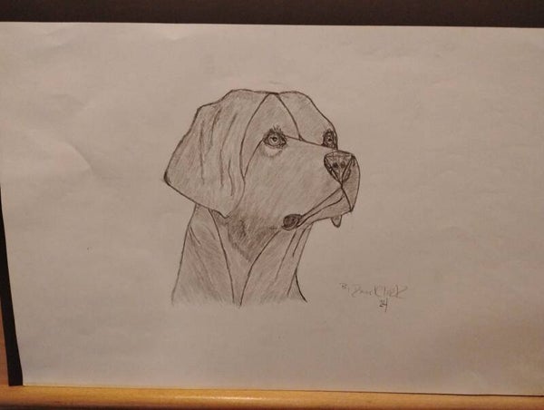 dog head sketch