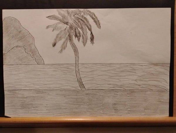 palm trees on the beach #4