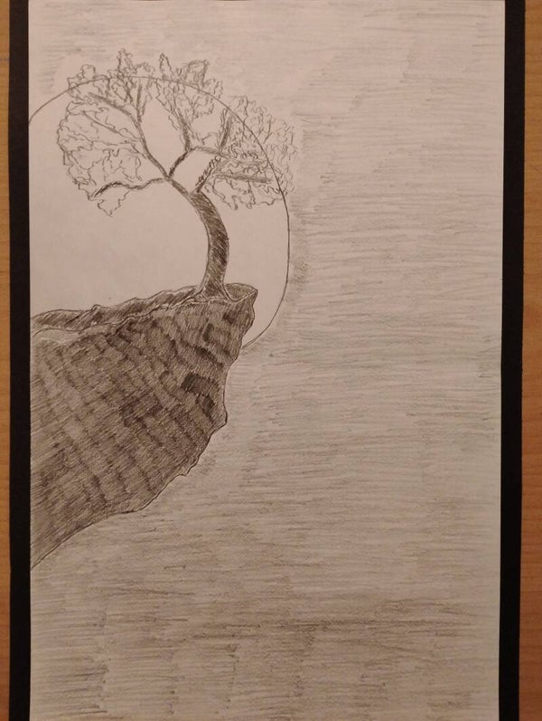 moonlight cliff tree