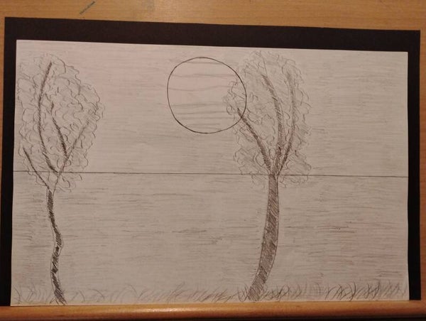 moonlight on the ocean and trees