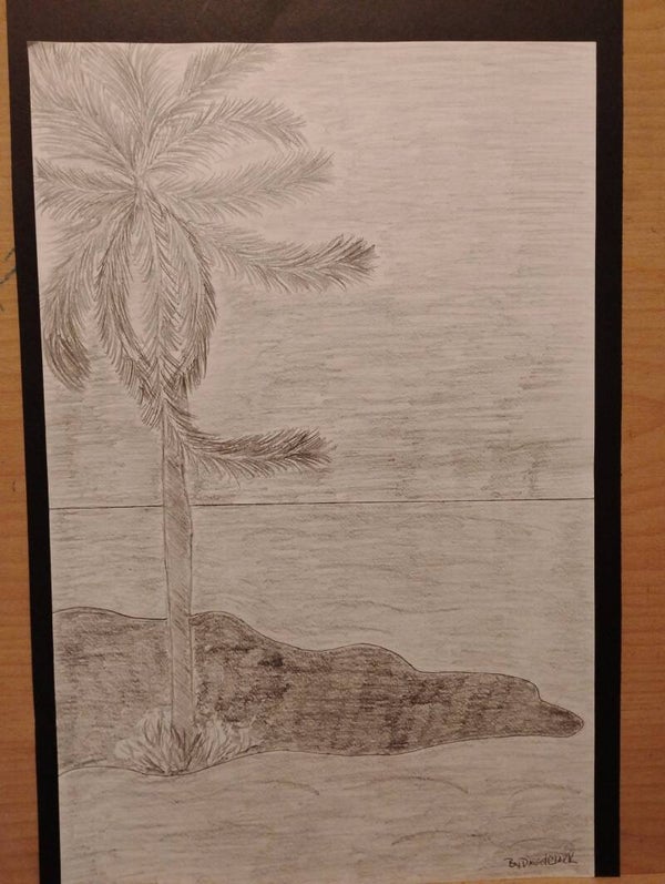 island palm tree 1
