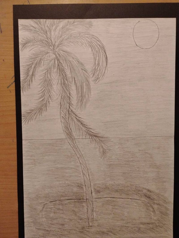 island palm tree 2