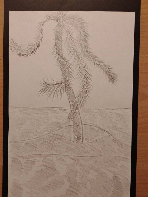 island pam tree 3