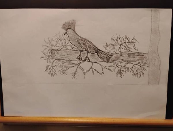 bird sitting on branch #2