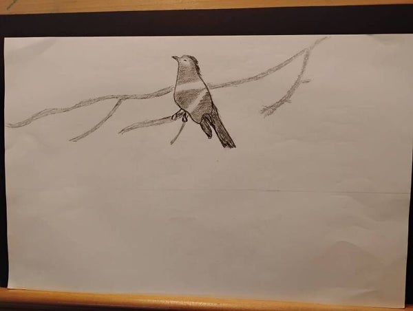 bird sittingon a branch #5