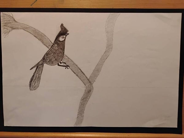 bird sitting on branch #7