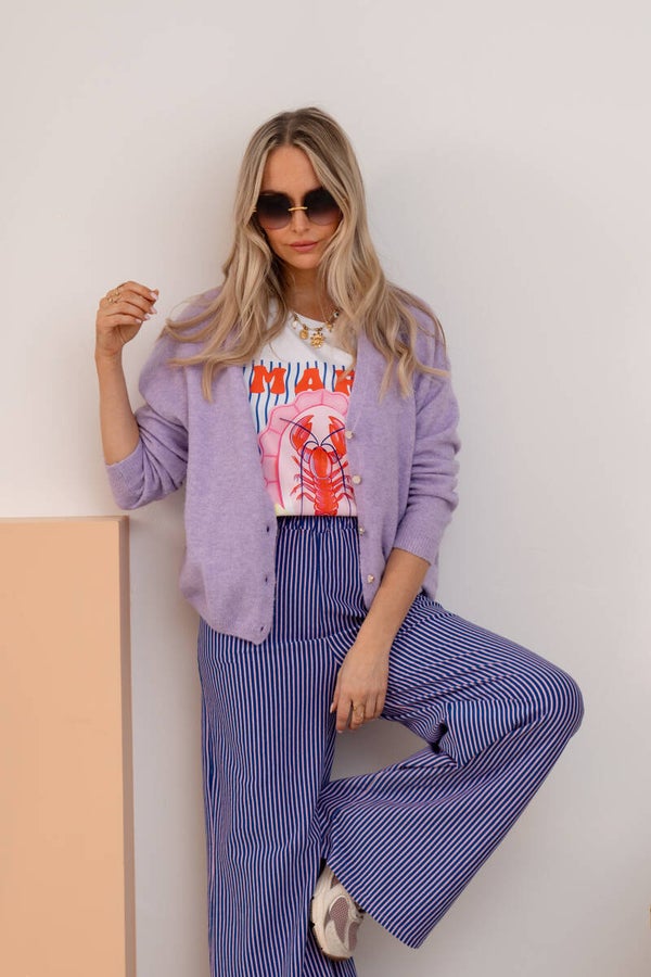 Gestreepte broek “Noémi lilac” 💜💙