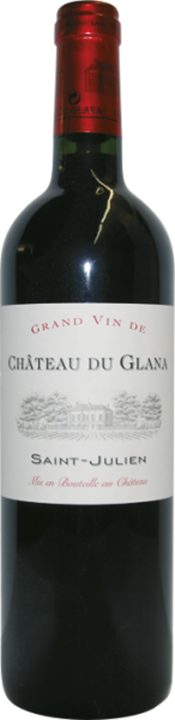 CHAT DU GLANA Saint-Julien