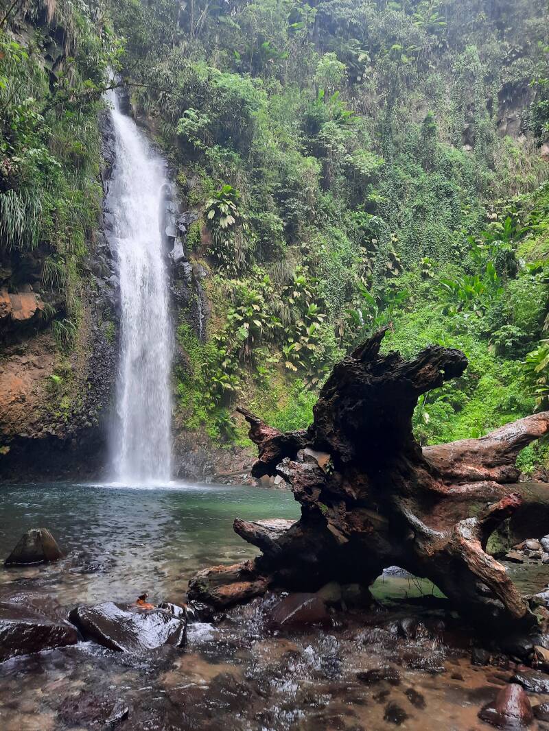 Wasserfall, Martinique