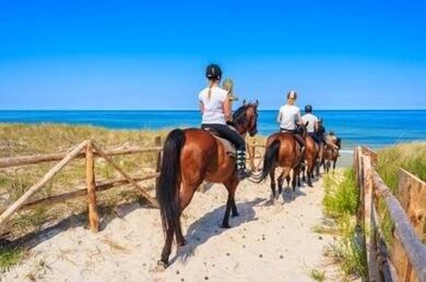 Horseback Riding.
