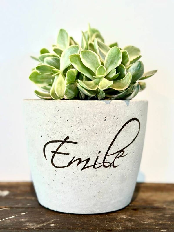 Less curved L painted