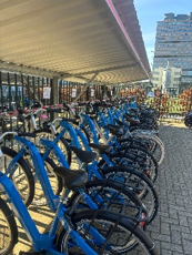 Deelfietsen in rekken Walter HAN