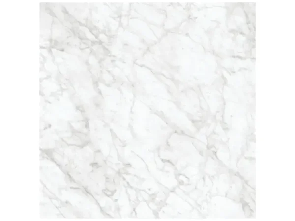 Majesto Bianco Gioia Honed 24x24 Tile Collection