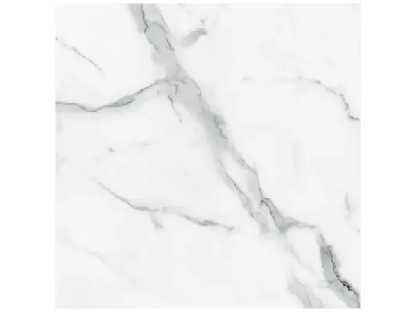 Majesto Statuario Honed 24x24 Tile Collection
