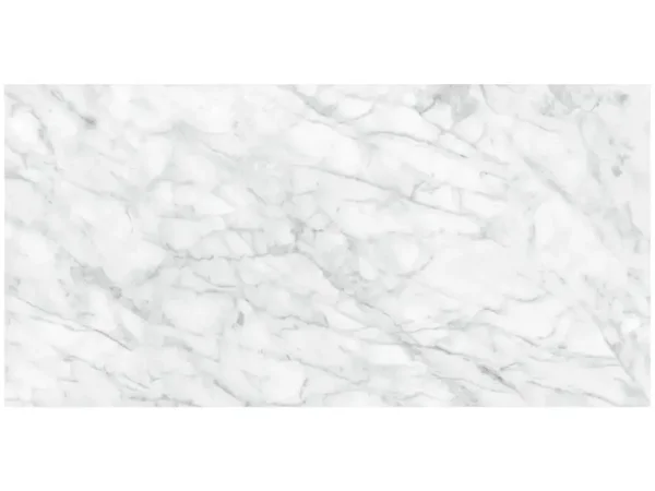 Plata 24x48 Polished Tile Collection