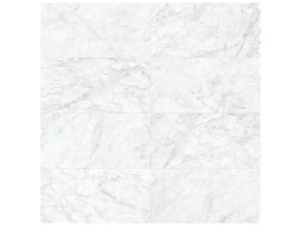 Majesto Bianco Gioia Honed 24x48 Tile Collection