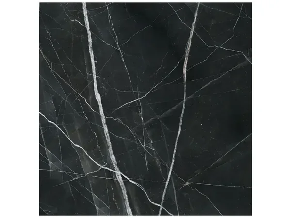 Majesto Calacatta Noir Honed 48x48 Tile Collection