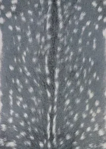 Dolce Hyena Rug Collection Denim/Silver