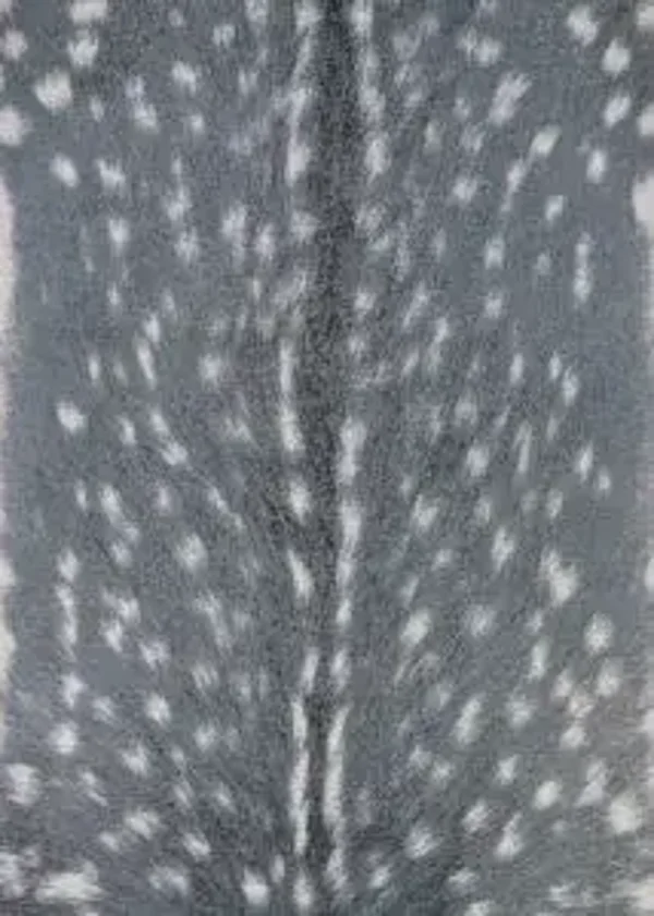 Dolce Hyena Rug Collection Denim/Silver