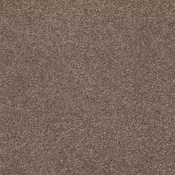 Opulent Tradition Carpet Collection