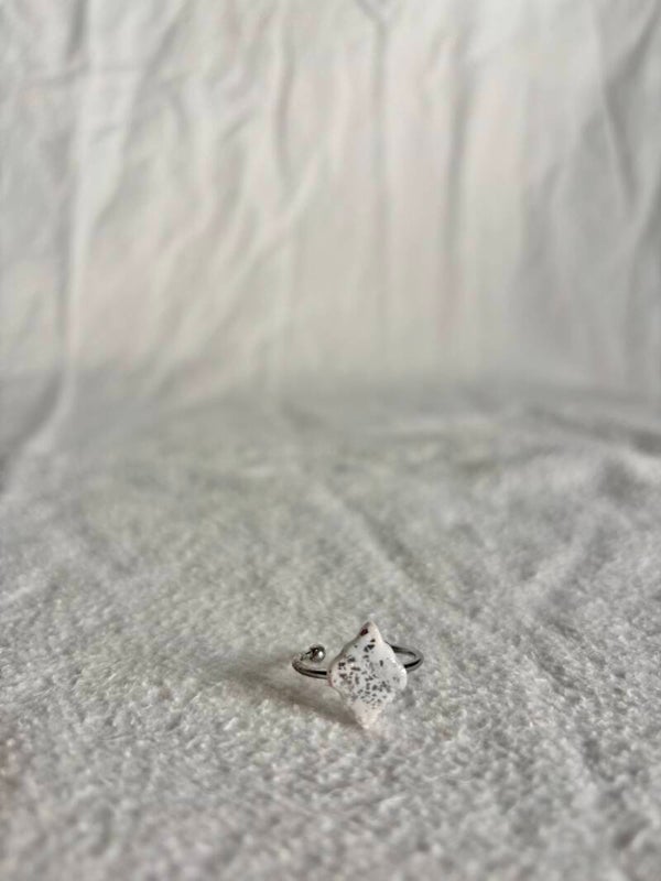 Ring speciaal