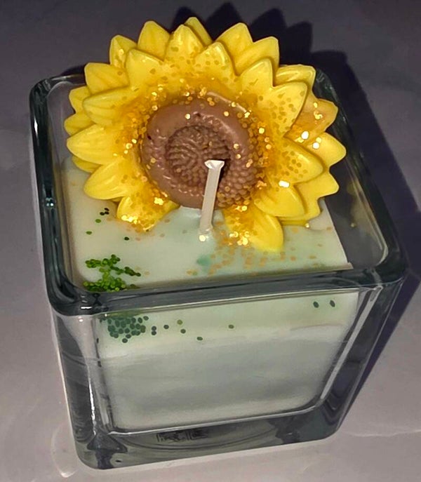 Tournesol ensoleillé