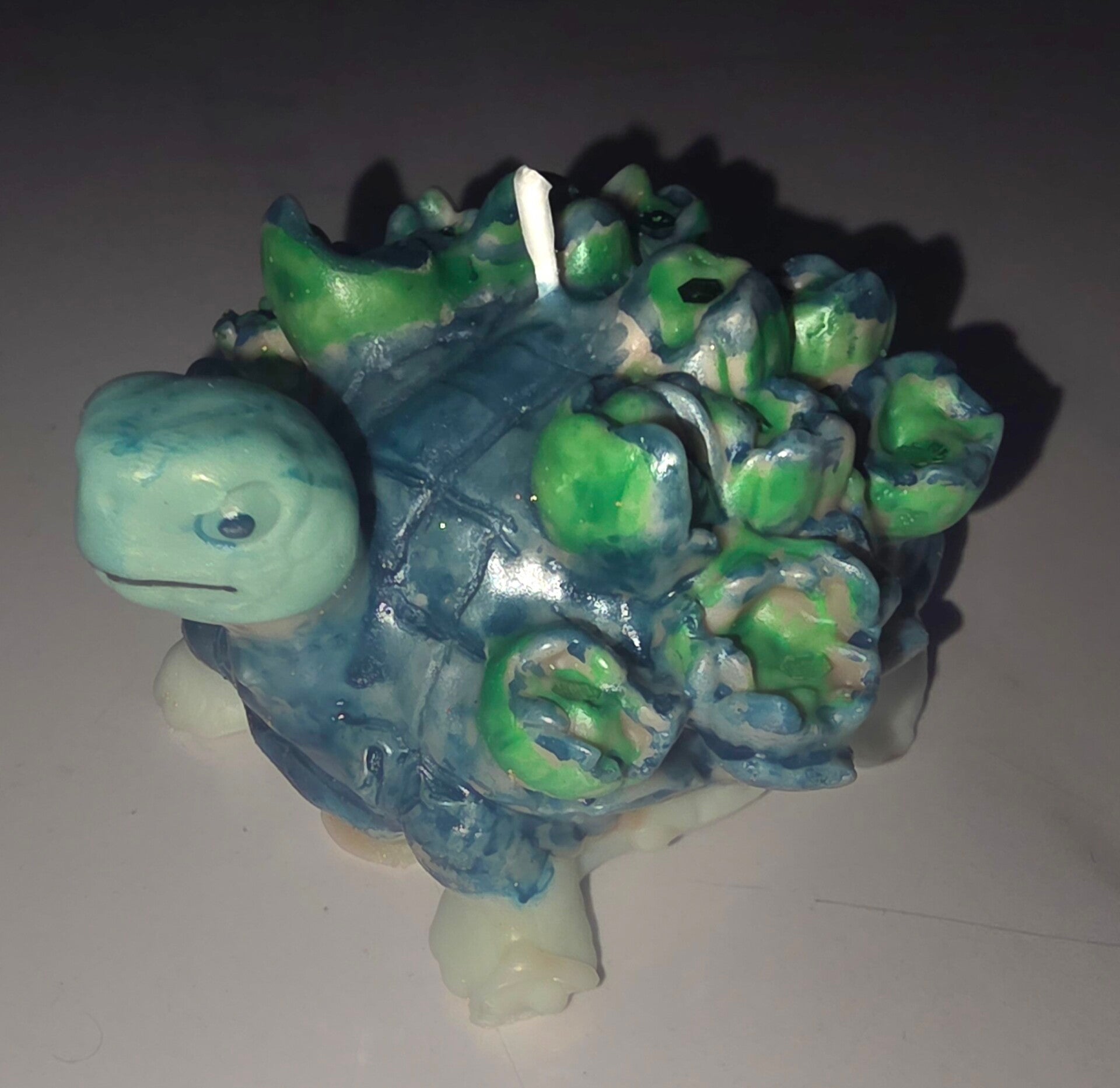Tortue des mers