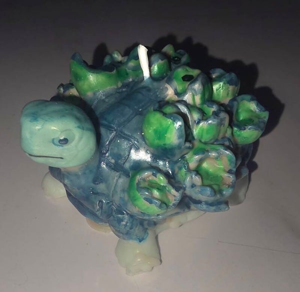 Tortue des mers