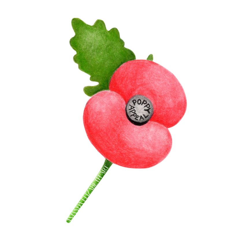18-standard-89ee61.png