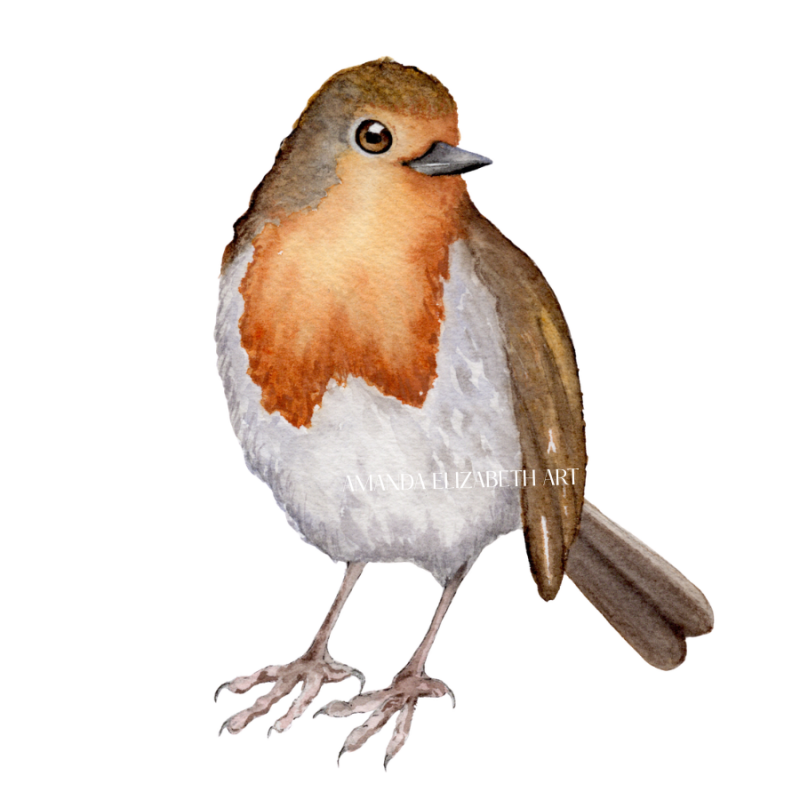 42-standard-b2snua.png