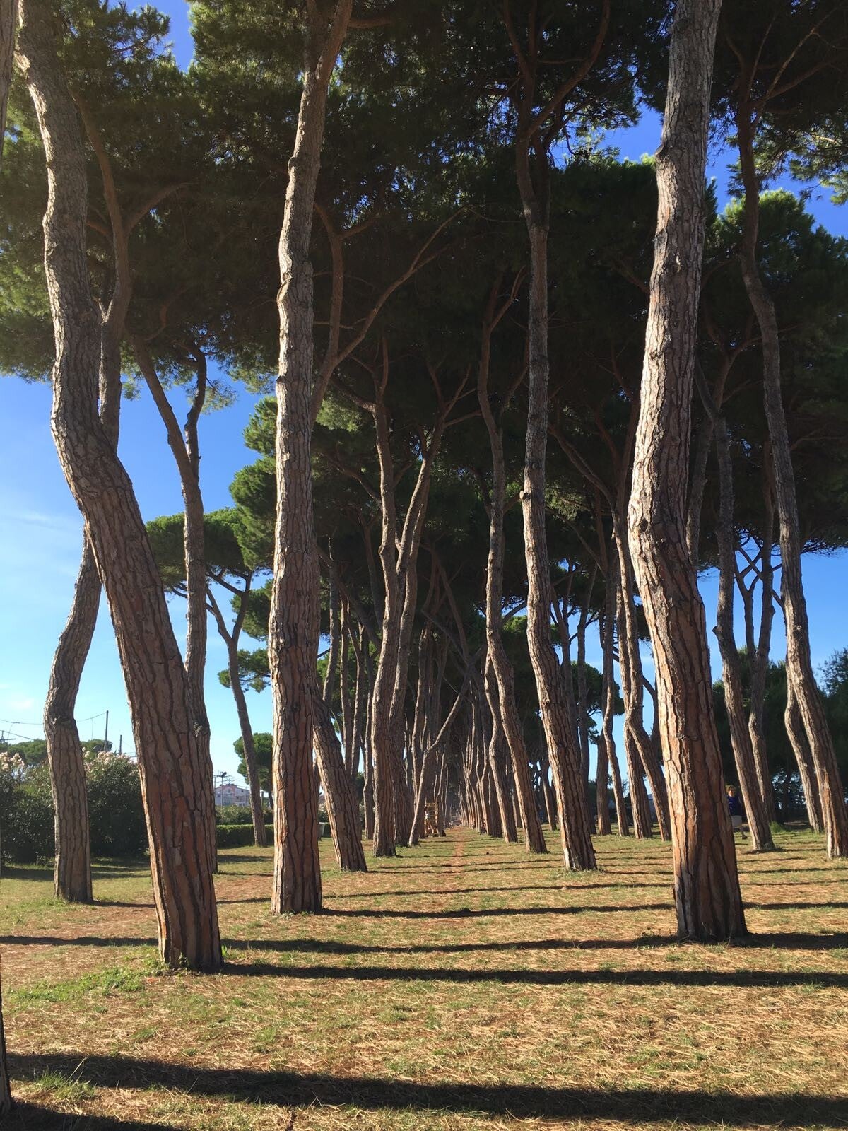 fietsreis Italie in Abruzzo