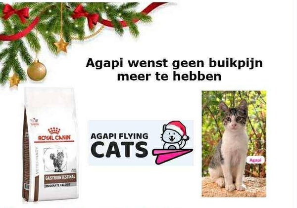 AGAPI WENST GASTROVOER