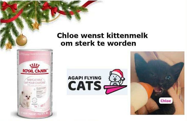 CHLOE WENST KITTENMELK