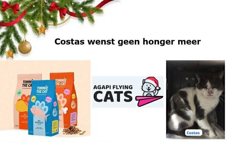 COSTAS WENST BROKKEN
