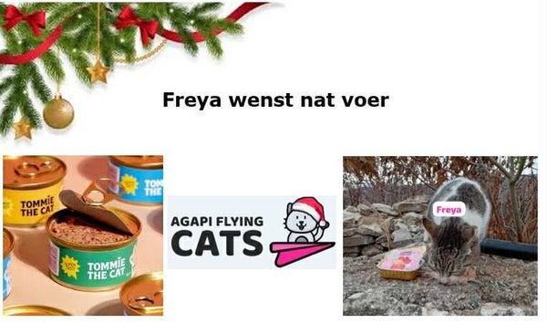 FREYA WENST NATVOER