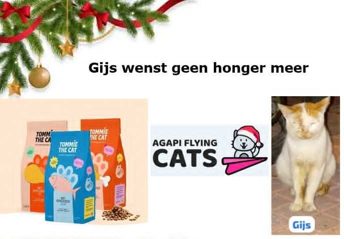 GIJS WENST BROKKEN
