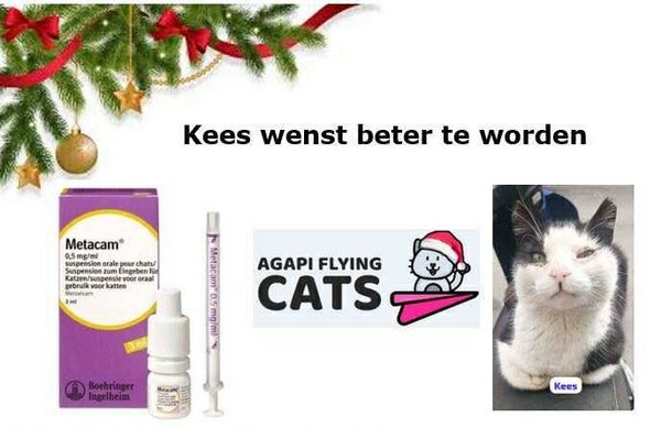 KEES WENST METACAM