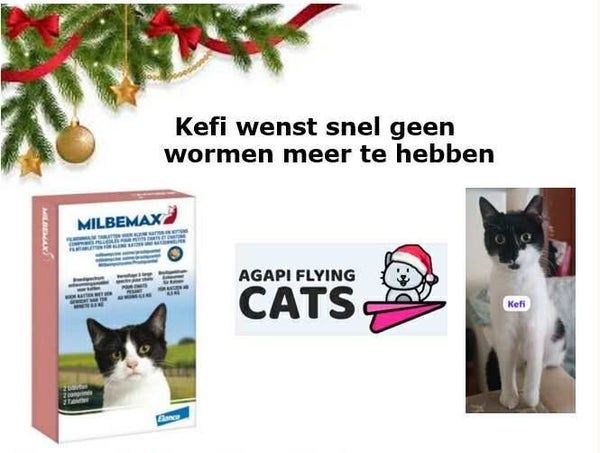 KEFI WENST ONTWORMING