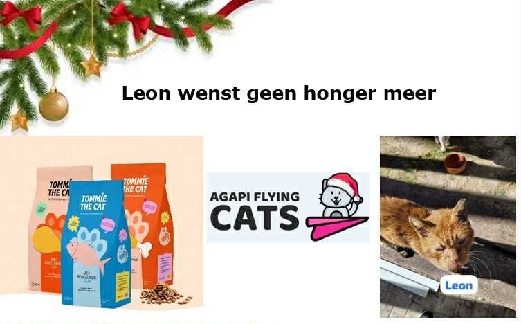 LEON WENST BROKKEN
