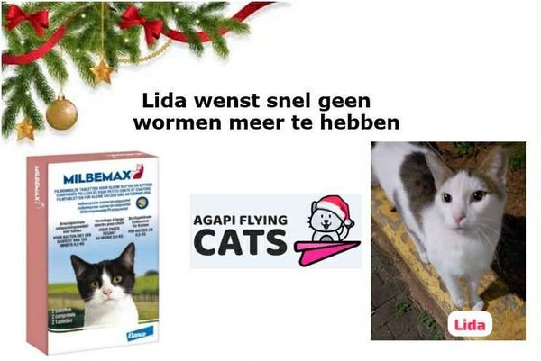 LIDA WENST ONTWORMING