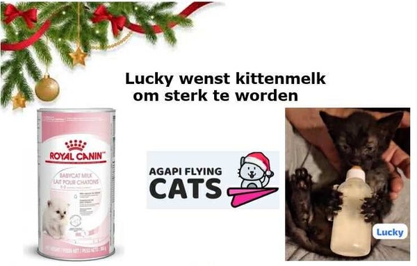 LUCKY WENST KITTENMELK
