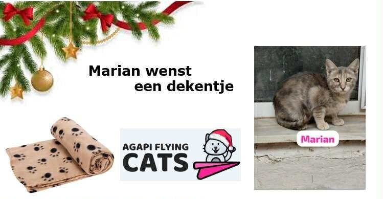 MARIAN WENST EEN DEKENTJE