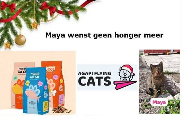 MAYA WENST BROKKEN