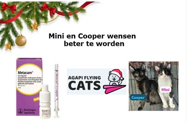 MINO & COOPER WENSEN METACAM