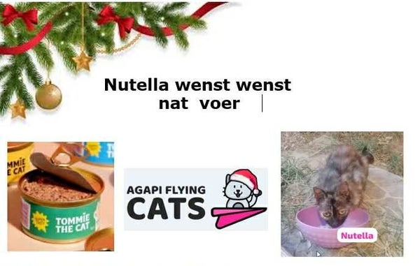 NUTELLA WENST NATVOER