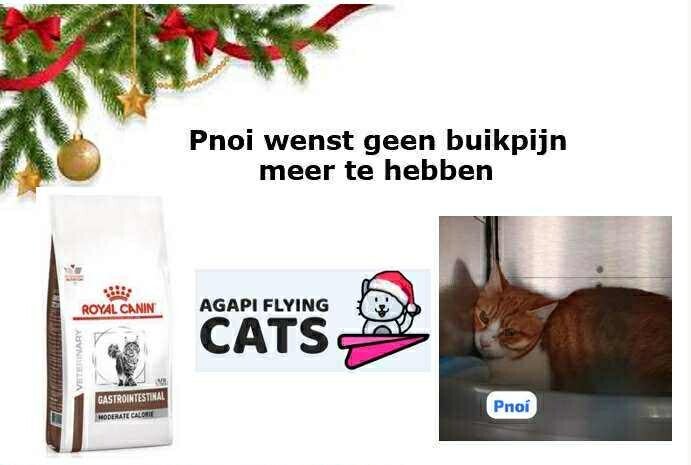 PNOI WENST GASTROVOER