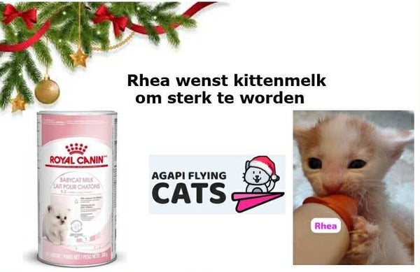 RHEA WENST KITTENMELK