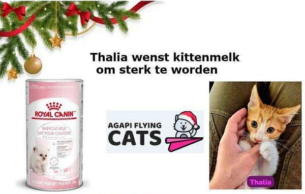 THALIA WENST KITTENMELK